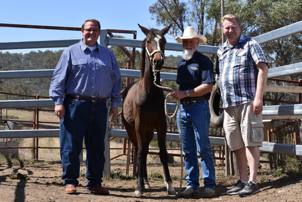 GENEROUS DONATION: Community Disaster Relief Van volunteers Brian Myer (left) and Brian Nothdurft (right) with donor Ian Olsen and the gelding that will be auctioned at the Warwick Rodeo for drought relief. 